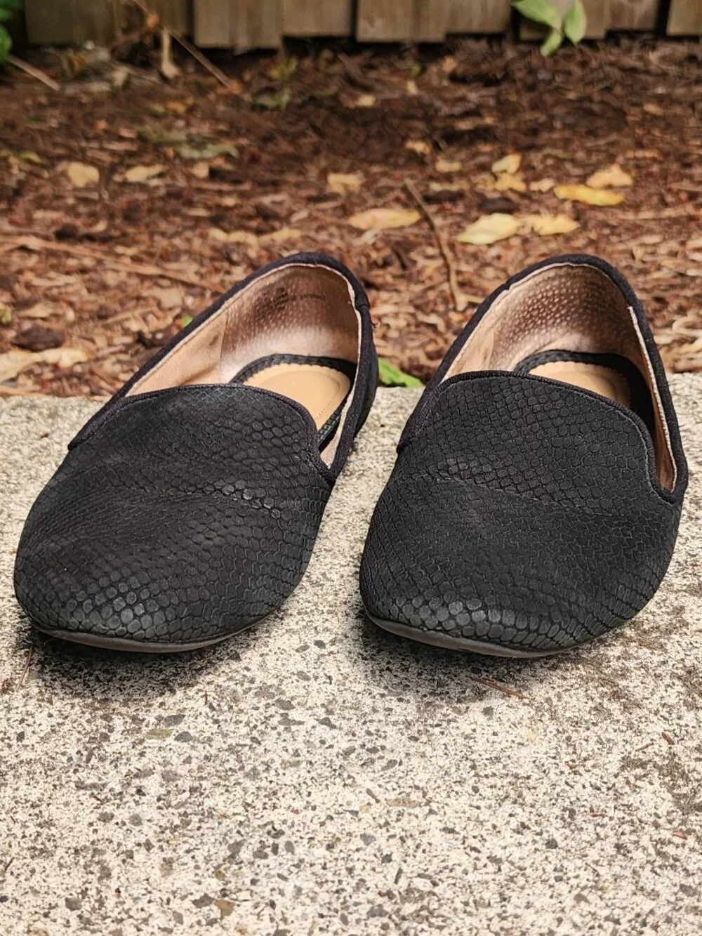 Kelly & Katie Peyton size 8 Black suede flats, faux 🐍 🐍